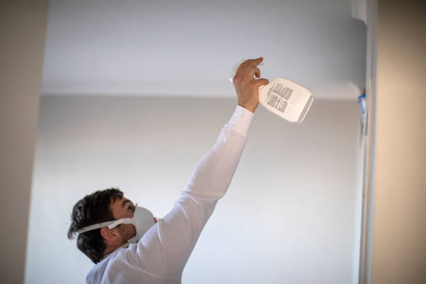 Best Mold Damage Repair  in Ionia, MI