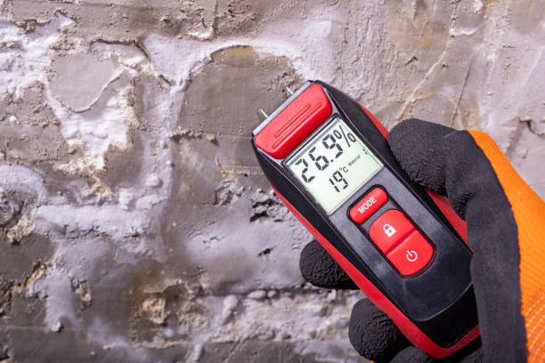 Crawl Space Mold Removal in Ionia, MI